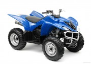 Yamaha Wolverine 350 Yamaha Wolverine 350
